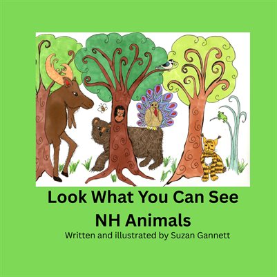 Look What You Can See