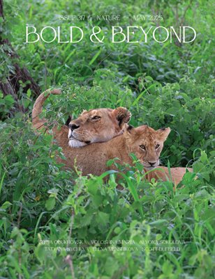 Publication preview