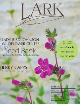 Lark