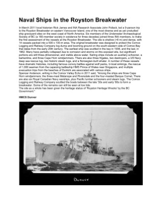 Publication preview
