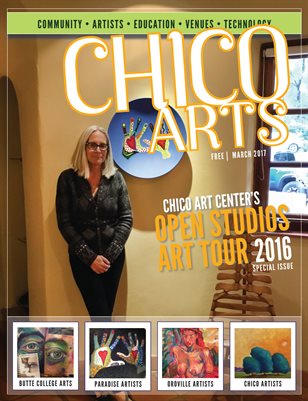 Shawn Rippner Chico Art Center OSAT 2016