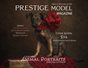 PRESTIGE MODELS MAGAZINE_ANIMAL PORTRAITS 2/10