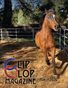 March 2026 Clip Clop Magazine  - V15#10