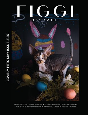 Publication preview