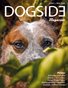 Dogside 1