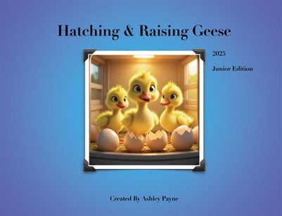 Hatching & Raising Geese