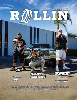 Publication preview