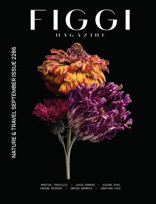 Publication preview