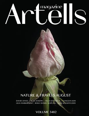 Publication preview