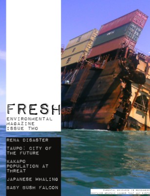 Publication preview