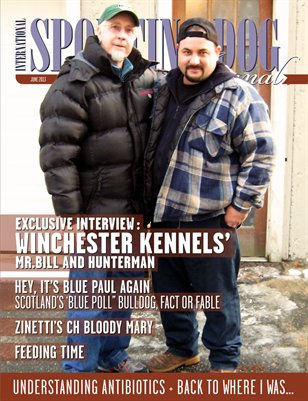 SDJ June 2013