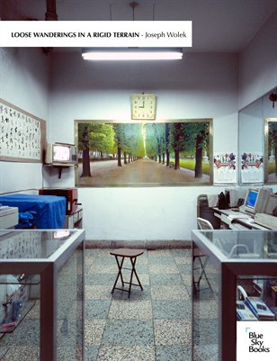 Loose Wanderings in a Rigid Terrain - Joseph Wolek