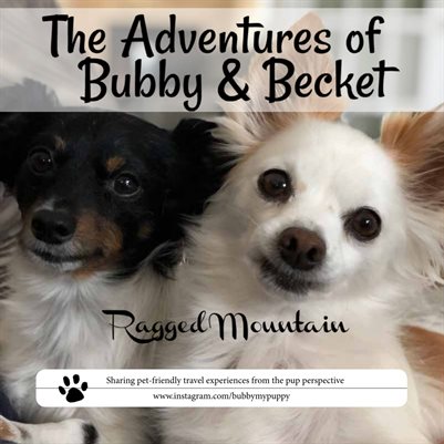 Adventures of Bubby & Becket to Ragged Mountain