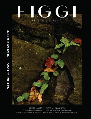 FIGGI MAGAZINE - NATURE & TRAVEL NOVEMBER (1228)