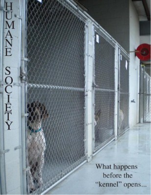 Humane Society
