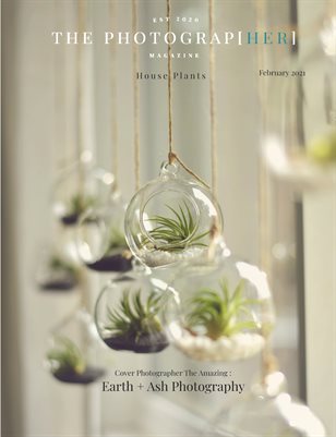House Plants | February 2021