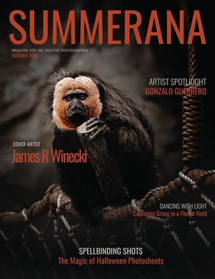 Publication preview