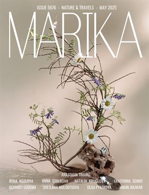 Publication preview