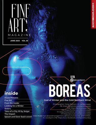 Fine Arts Vol - 30