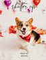 Shutter Up Magazine Issue 542 Hearts