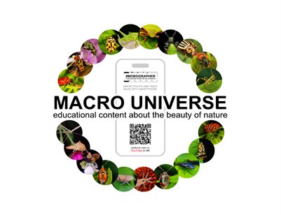 MACRO UNIVERSE educational content about beauty of nature