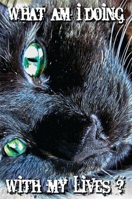 Funny Cat Poster