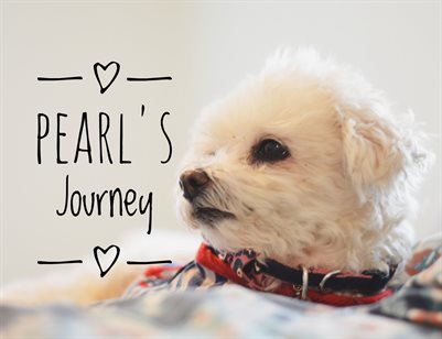 Pearl's Journey