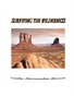Surviving the Wilderness