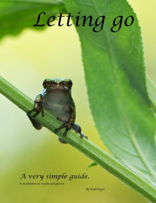 Letting Go