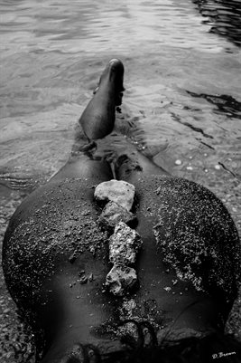 New Publication (83)