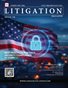 February 2026 Edition- Layman Litigation