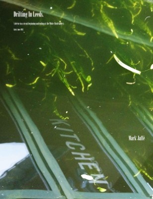 Publication preview