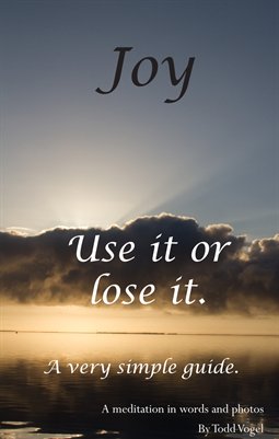 Joy - Use it or lose it