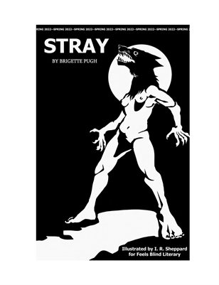 Feels Blind Literary Zine Project, Stray