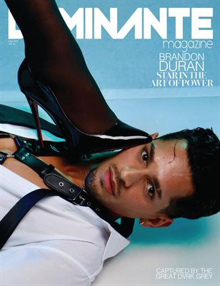 Publication preview