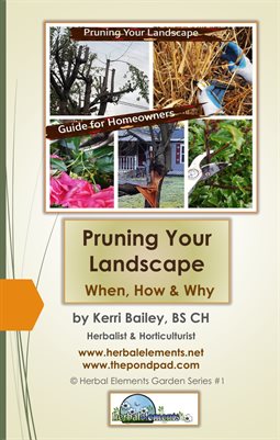 Pruning Your Landscape