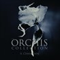 The Orchis Collection