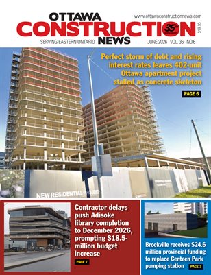 Publication preview