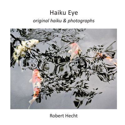 Haiku Eye