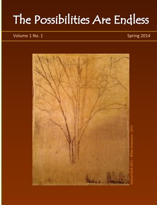 The Possibilities Are Endless