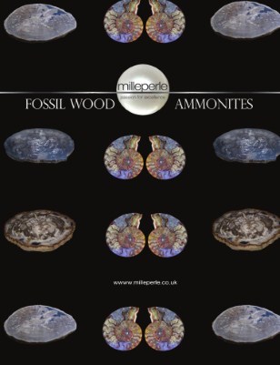 Fossil wood and Ammonites, 