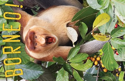 2027 Borneo Calendar
