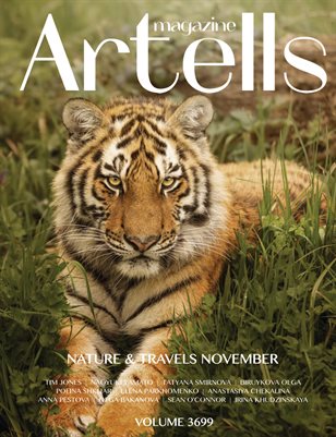 ARTELLS MAGAZINE - NATURE & TRAVELS NOVEMBER (Vol 3699)