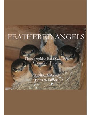 Feathered Angels by Lottie Miller and Beth Wasson