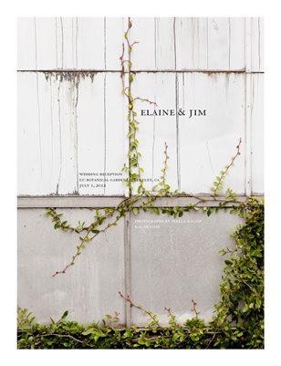 Elaine & Jim: Wedding Reception