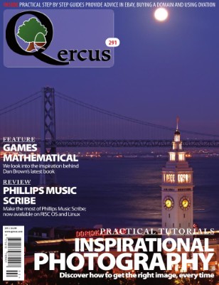 Issue 291
