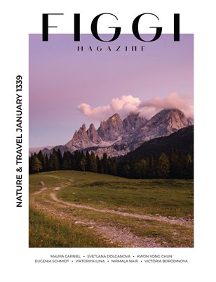 FIGGI MAGAZINE - NATURE & TRAVEL JANUARY (Vol 1339)