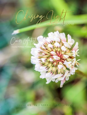 Chasing Light | Issue 64 | Green