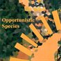 Opportunistic Species