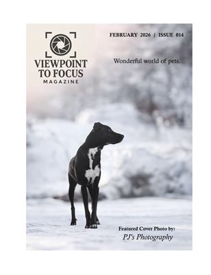 Viewpoint to Focus Mag -ISSUE 14- Pets #2